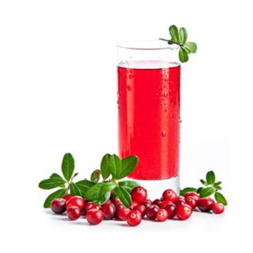 ДОМАШНИЙ МОРС КЛЮКВЕННЫЙ